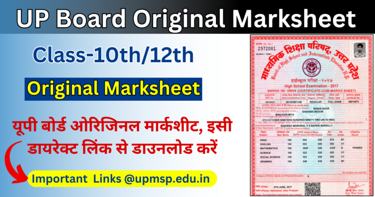 Up Board 2024 Original Marksheet Download Links