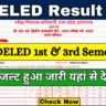 UP DELED 1st & 3rd Semester Result Kab Aayega