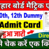 Bihar Board 10th 12th Dummy Admit Card 2025