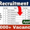 KVS Recruitment 2024