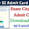 RPF & SI Admit Card 2024